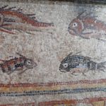 Finalitza la restauració del Mosaic dels Peixos del MNAT