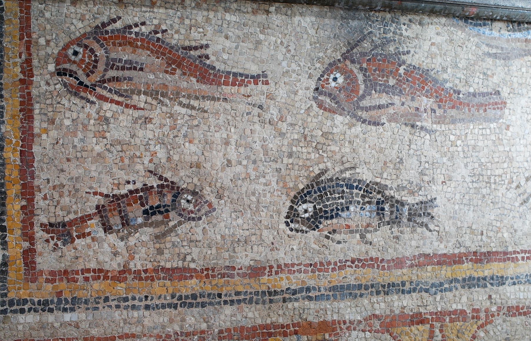 Detall del Mosaic dels Peixos, ja restaurat. Foto: Cedida