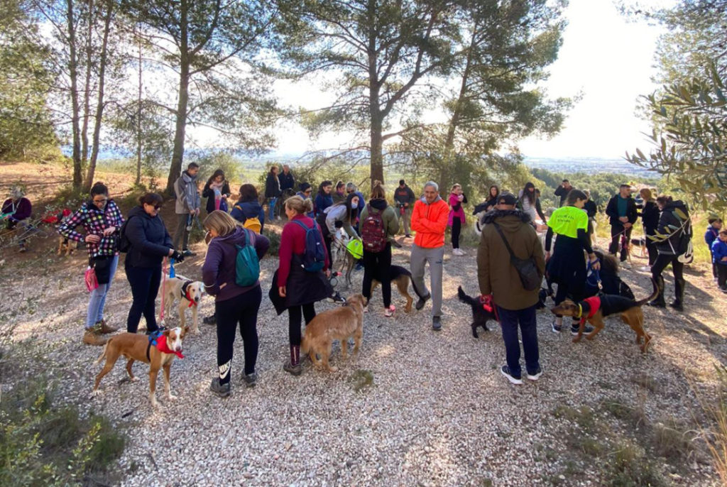 Imatge de la caminada Castellgos 2022. Foto: Cedida