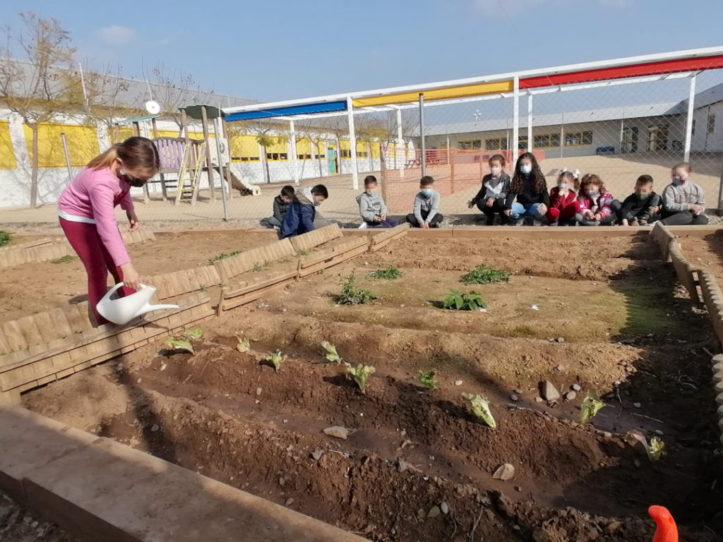 Una imatge de l'hort de l'escola. Foto: Cedida