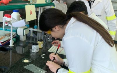 Els instituts omplen els laboratoris de la URV en el Teen’s Lab de BASF