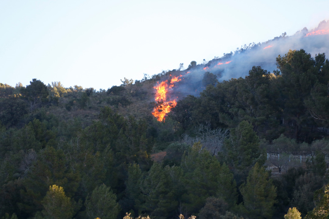 L'incendi de vegetació a la Selva del Camp. Foto: ACN