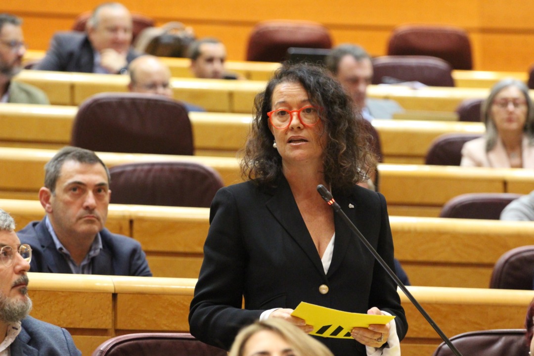 Laura Castel al Senat. Foto: Cedida