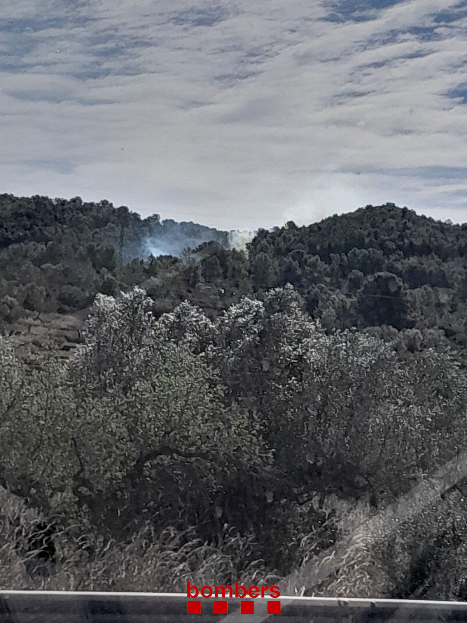 La columna de fum de l'incendi d'El Perelló. Foto: Bombers