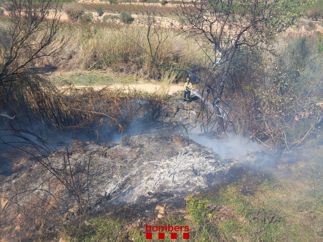 L'incendi de Vinebre ja està estabilitzat. Foto: Bombers