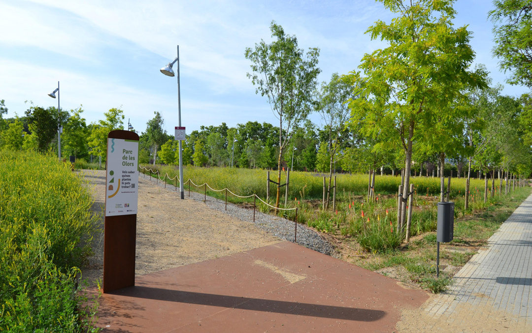 Reus licita el servei de manteniment i conservació d’espais verds de la ciutat per 1,2MEUR