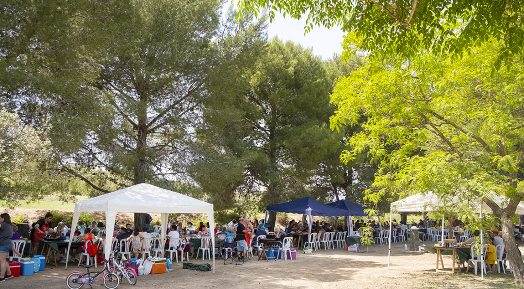 Una imatge del concurs de paelles de l'any passat. Foto: Cedida