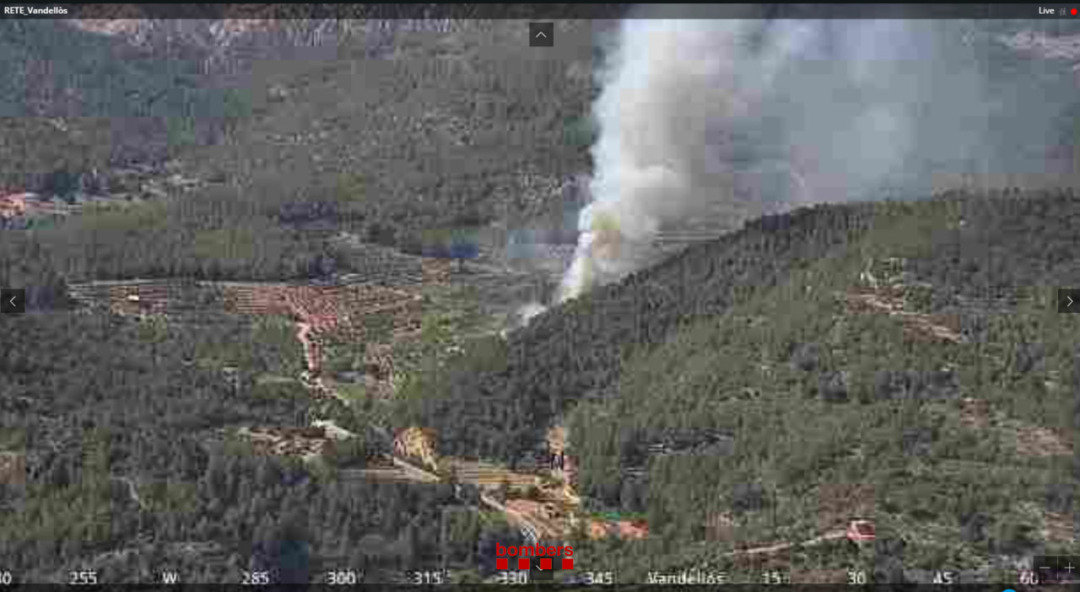 Es tracta d'un incendi de massa forestal. Foto: Bombers de la Generalitat