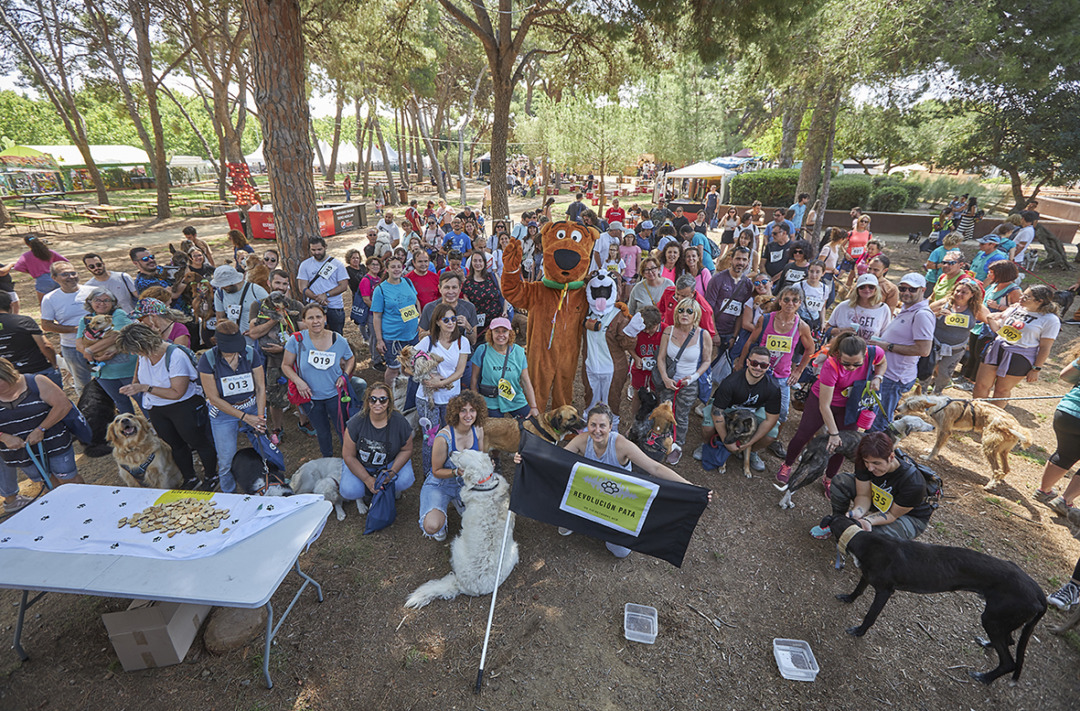 Imatge de la jornada Pet Friendly. Foto: Cedida