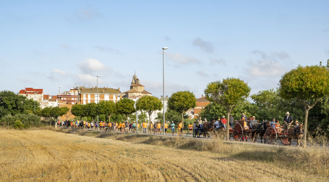 El Cercle Cultural, Recreatiu i Esportiu participa en el recorregut amb els carros que s’utilitzen en els Tres Tombs. Foto: Cedida