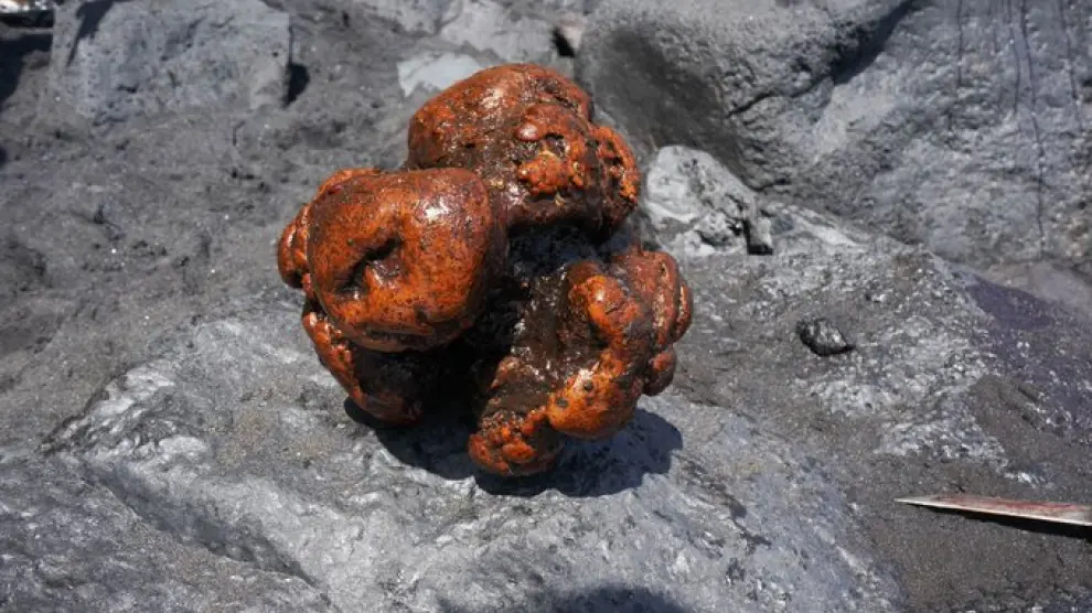 Pedra d'àmbar gris extreta del catxalot. Foto: Universidad de Las Palmas de Gran Canaria