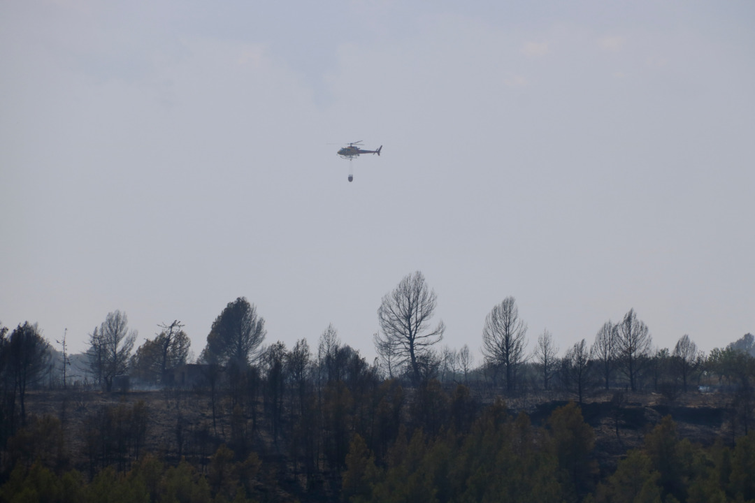 Més de 50 dotacions dels Bombers han actuat per apagar les flames. Foto: ACN