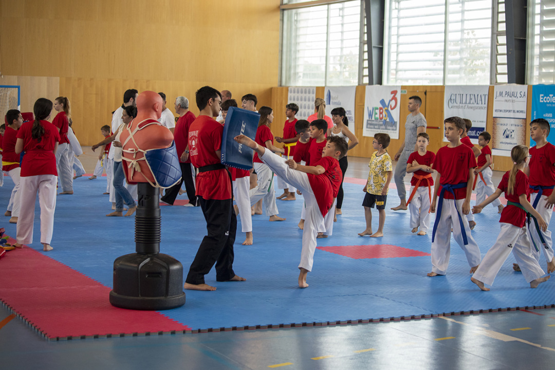 Entrenament obert del Club Taekwondo Morell. Foto: Cedida