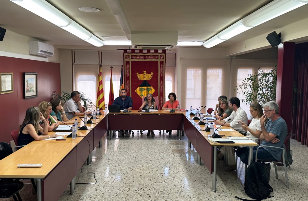 Imatge de la sessió plenària del 4 de juliol celebrada a l'Ajuntament de Vandellòs. Foto: Cedida