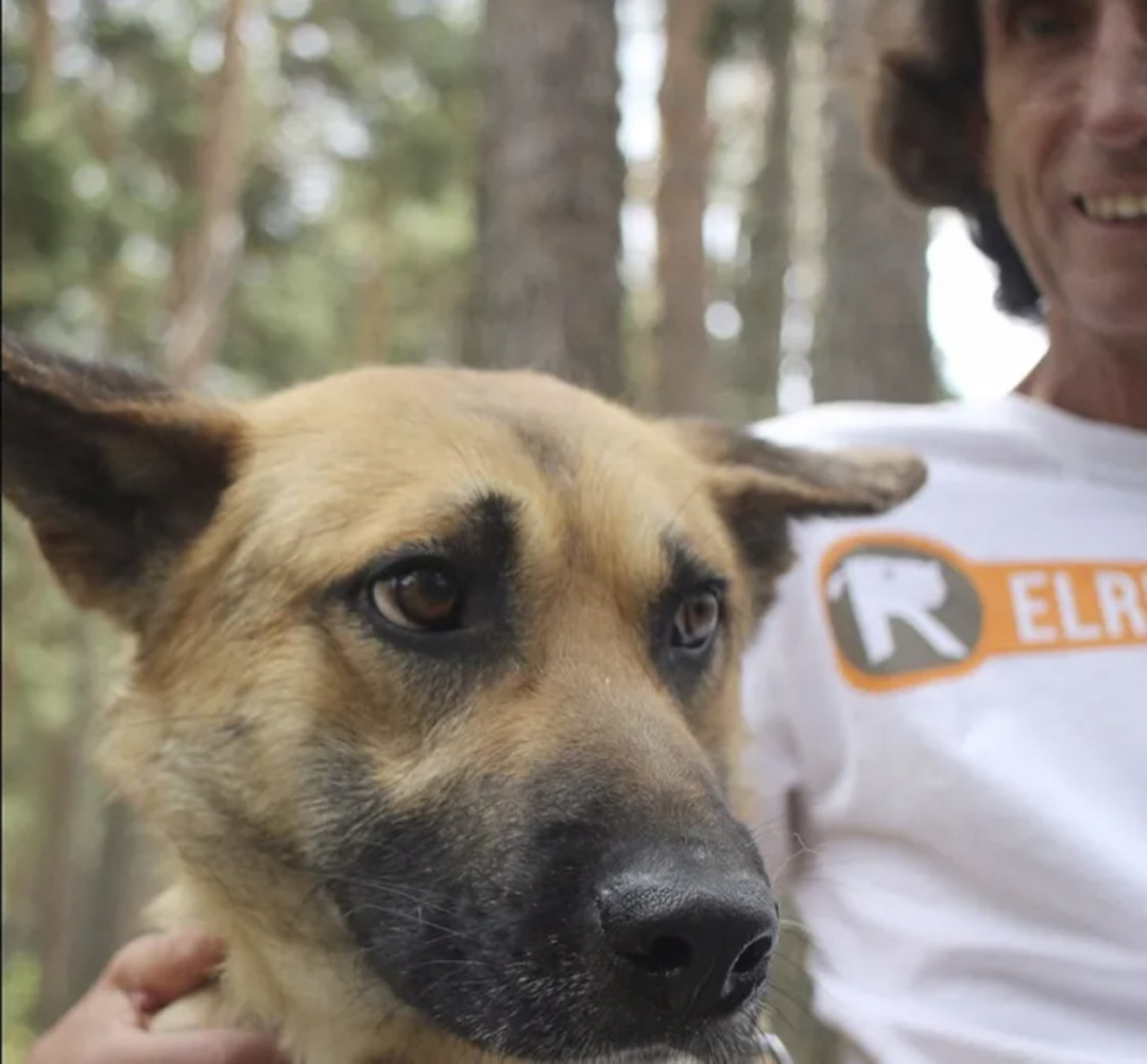 Nawall ha estat un any a El Refugio per recuperar-se abans de ser adoptat. Foto: El Refugio