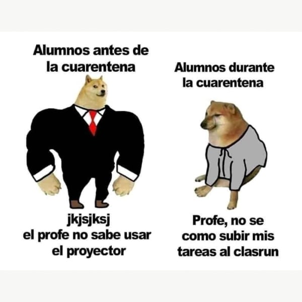 Un dels mems de Swole Doge vs. Cheems.