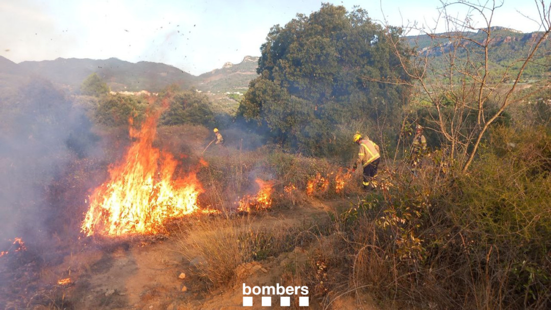 Efectius dels Bombers fent "foc tècnic" per controlar l'incendi. Foto: Bombers