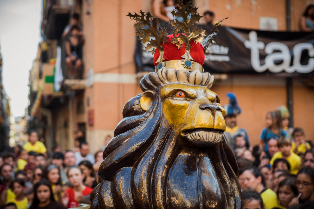 El Lleonet també està d'aniversari. Foto: Marc Colilla