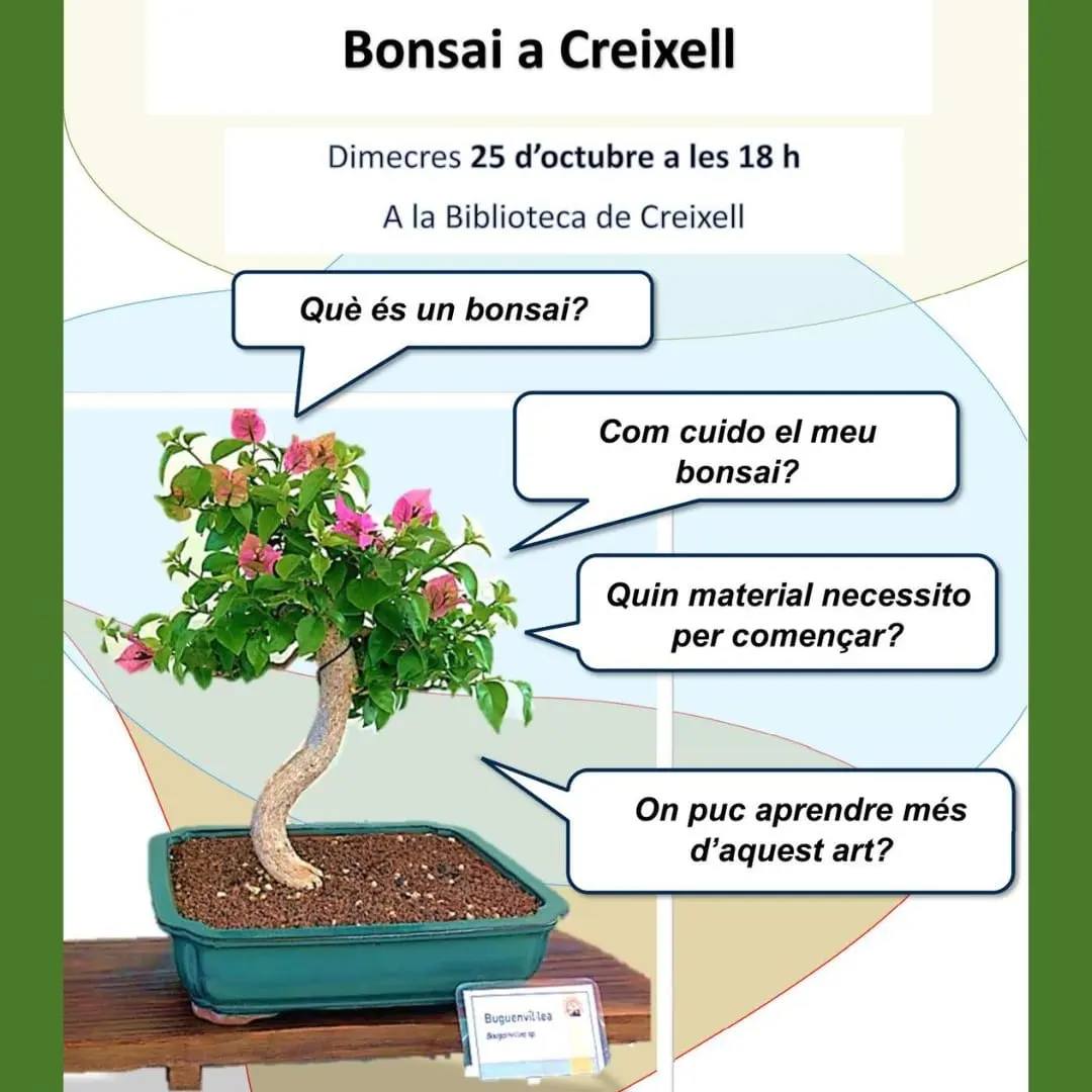 Hi haurà una xerrada sobre l'art del bonsai. Foto: Cedida