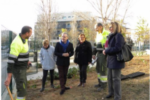 Els treballs de jardineria a l’exterior de l’Escola Salou finalitzaran properament