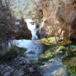 La Diputació de Tarragona treballa per controlar una espècie invasora al riu Glorieta i a la riera de la Selva