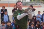 Els alumnes de l’escola bressol de Perafort viuen l’alliberament d’un aligot