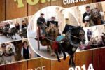 Constantí viurà aquest diumenge els Tres Tombs