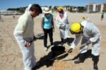 Torredembarra, escenari d’un simulacre de contaminació per hidrocarburs