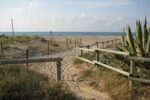 Jornada de neteja de la Campanya Internacional ‘Clean up the Med’ a L’Espai Natural dels Muntanyans de Torredembarra