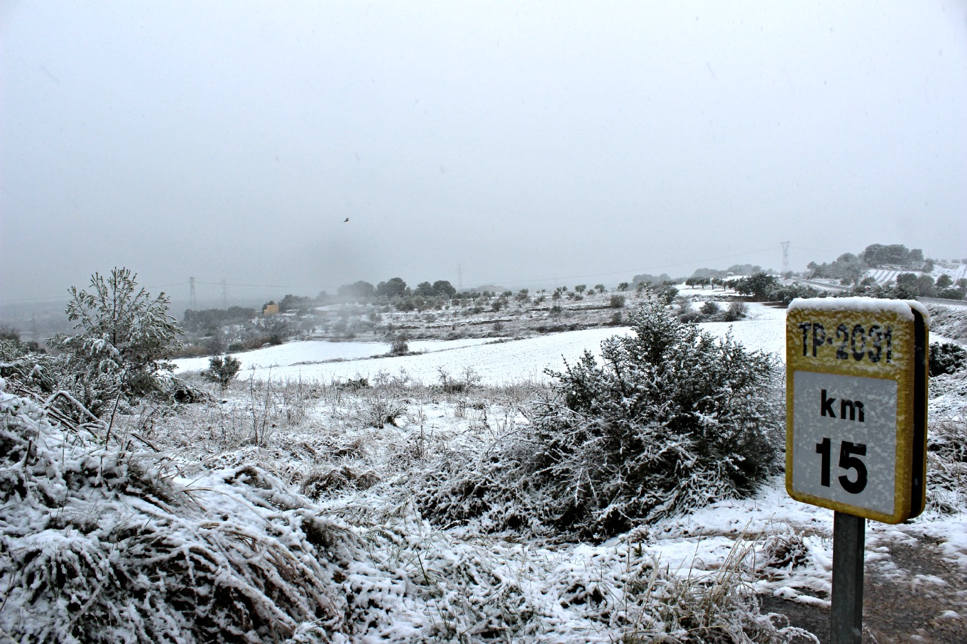 A partir dels 150 metres, la neu ha agafat al Tarragonès. Foto: Tarragona21