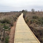Torredembarra finalitza la instal·lació passeres de fusta de l’Espai d’Interès Natural dels Muntanyans