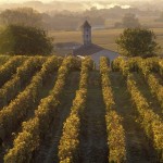 Unió de Pagesos calcula que les ventades han fet perdre més del 30% de vinya i entre el 35 i el 80 % de cirera