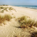 La platja dels Muntanyans de Torredembarra tindrà un servei de neteja especial