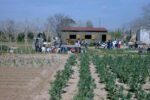 El taller dels fanalets i l’excursió a l’hort de la Sínia marquen el cap de setmana a Altafulla