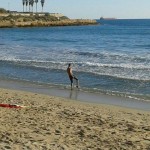 El mar de Tarragona és el més calent de tot l’Estat: es registra un rècord de 27 graus aquest juny