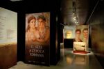 La mostra ‘El sexe a l’època romana’, visitable al Museu de Reus fins al 12 de gener