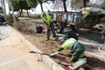 Cambrils millora accessos i jardins del pàrquing del Parc del Pescador