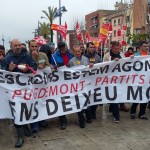 Ecologistes en Acció reclama mesures de la Generalitat i del govern espanyol per solucionar la crisi del peix blau