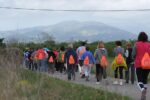 400 pobletans caminen pel Dia Mundial de l’Activitat Física