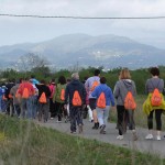 400 pobletans caminen pel Dia Mundial de l’Activitat Física