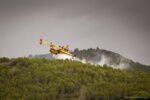 Extingit el devastador incendi de la Pobla de Montornès després d’endur-se 465 hectàrees