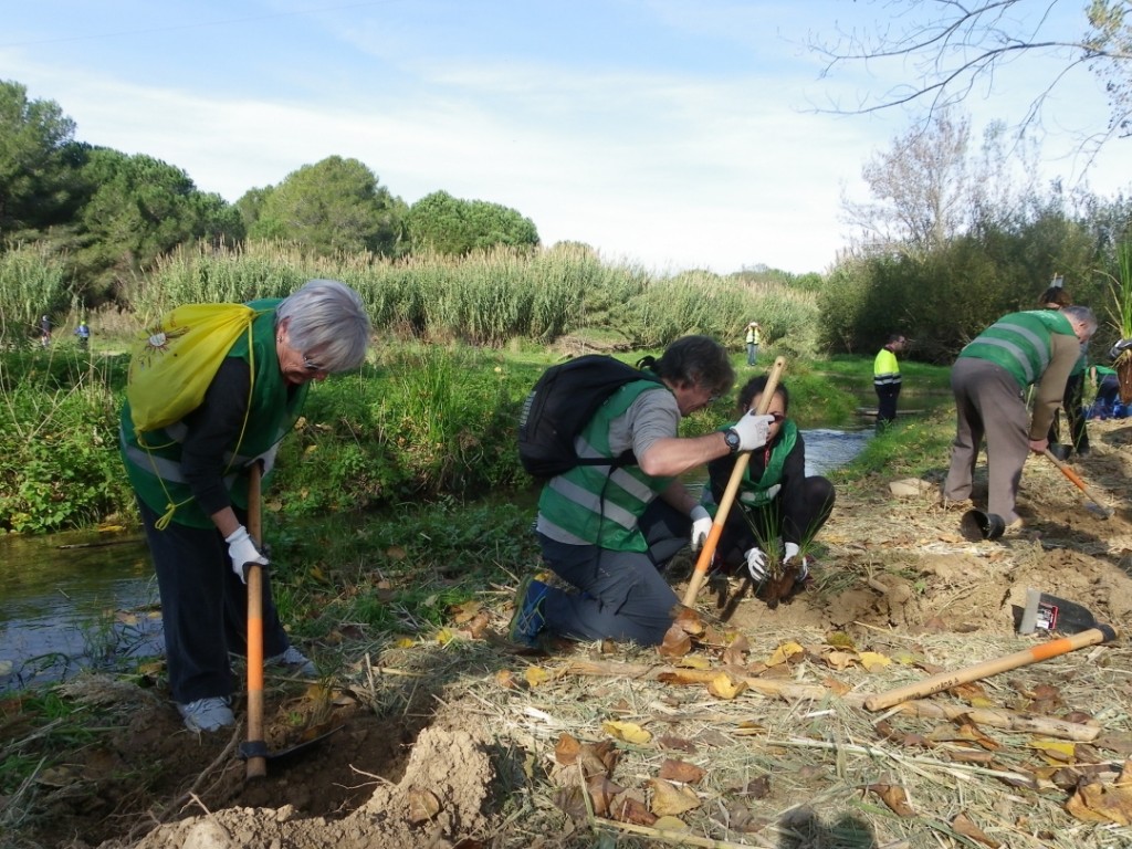 Imatge de la plantada popular. Foto: Romà Rofes / Tarragona21.cat