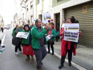 Un moment de la protesta, organitzada per la PAH i l'APE del Baix Penedès. Foto: Romà Rofes / Tarragona21.cat