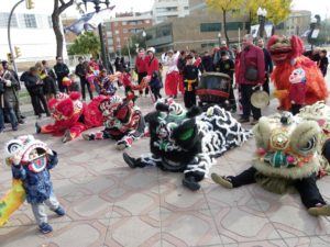 Els lleons, preparats per ser despertats. Foto: Romà Rofes / Tarragona21.cat