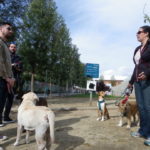 Ruta reivindicativa en l’útim cap de setmana en què es poden portar gossos a la platja a Tarragona
