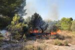 Foc als voltanta de la Vil·la romana dels Munts