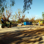 L’Ajuntament d’Altafulla comença l’ampliació de la zona esportiva del Parc dels Safranars