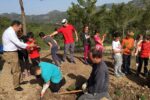 Els alumnes de Vandellòs han celebrat el Dia de l’Arbre