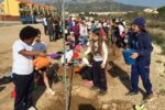 Gairebé 600 escolars han celebrat el Dia de l’Arbre a l’Hospitalet de l’Infant