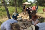 La Canonja celebra el Dia Mundial del Medi Ambient amb la tercera edició d’Ecoverd